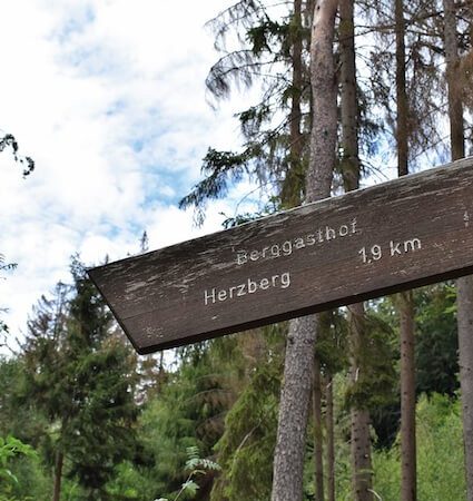 Wanderwege, Alexander von Humboldt, Taunus, Bad Homburg